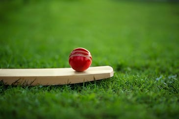 A cricket bat on grass with cricket ball lying on top of it for the ashes 2023 