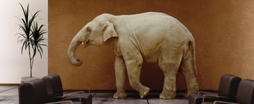 5 crucial tips for addressing the elephant in the room 