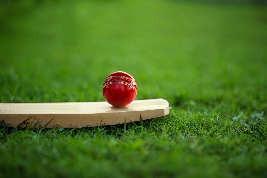 A cricket bat on grass with cricket ball lying on top of it for the ashes 2023